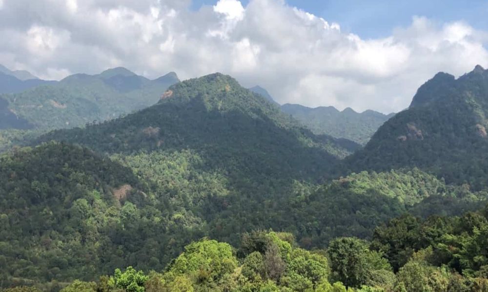 Feel the nature in Silent Valley