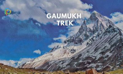 Gaumukh Trek A Quick Travel Plan To Source Of Ganges River!