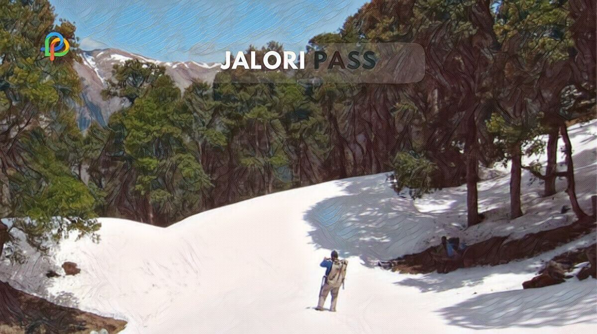 Jalori Pass The Ultimate Travel Guide For Trekkers!