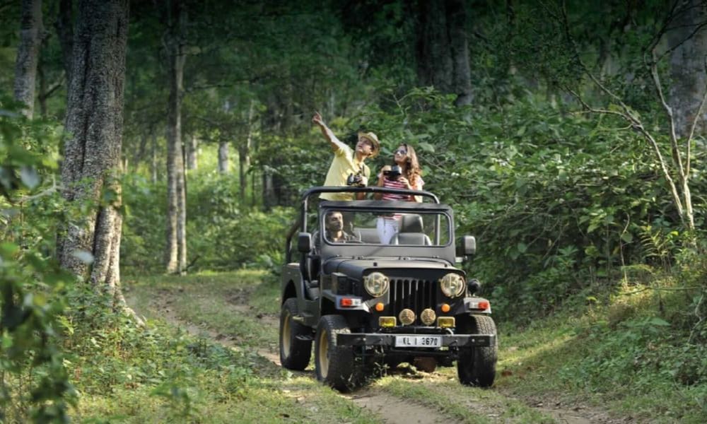 Jeep Safari In Coorg
