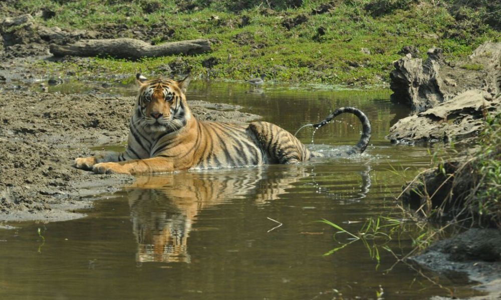 Kalakad Wildlife Sanctuary