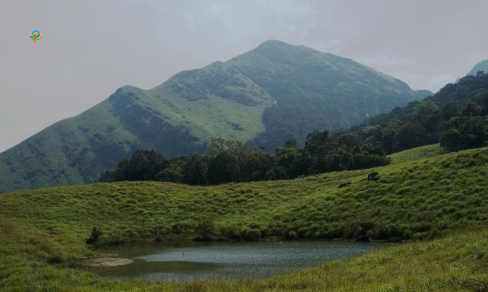 Kalpetta, Wayanad-Hill Stations Near Nilgiri Hills