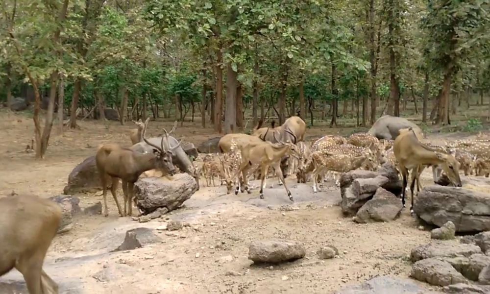 Shivaram Wildlife Sanctuary
