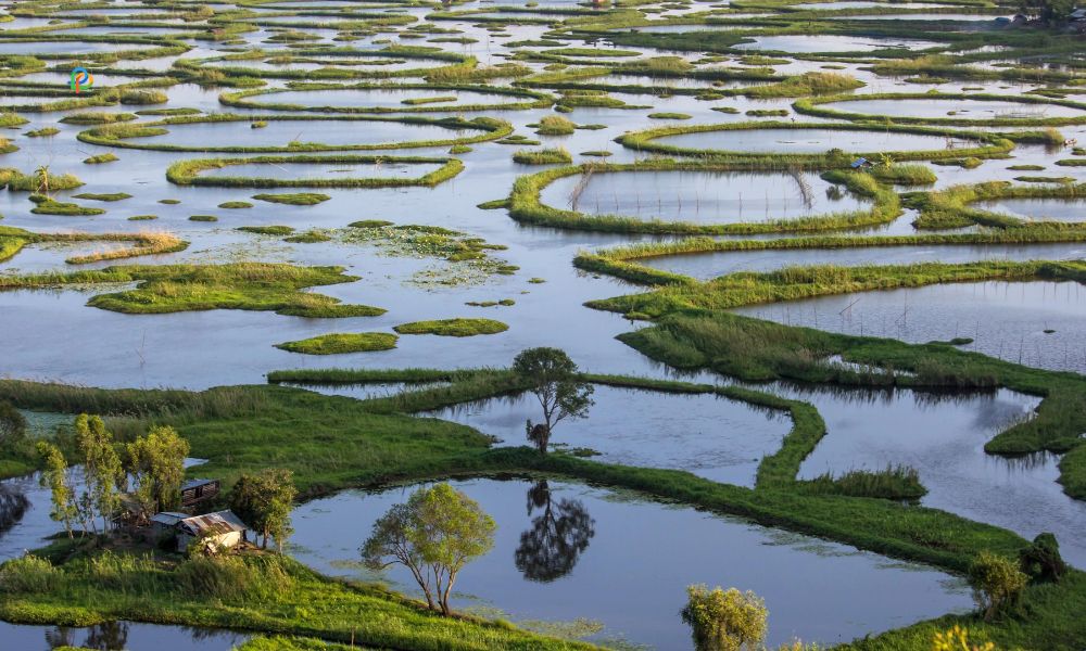 Loktak Lake, Manipur