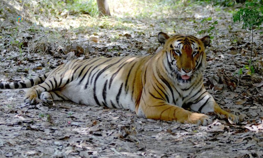 Ludhiana Zoo