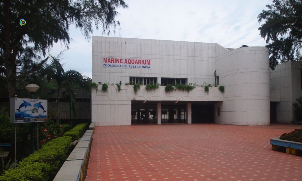 Marine Aquarium And Regional Center