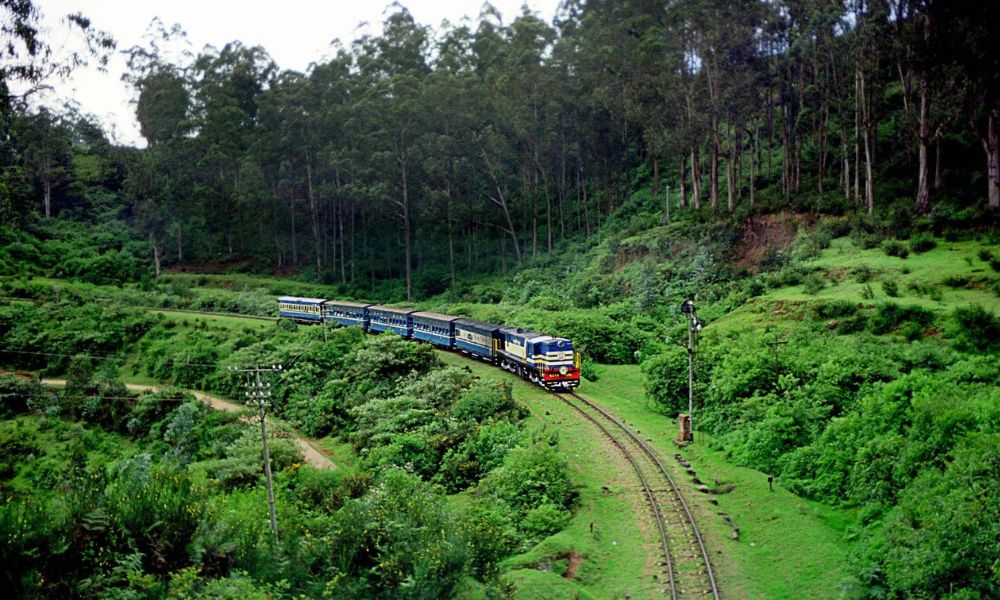 Ooty 