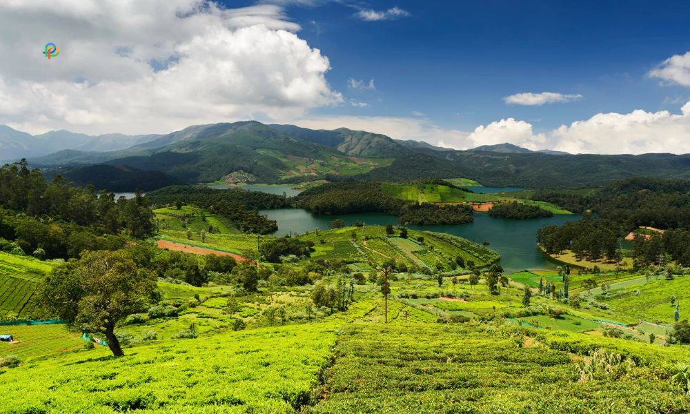 Ooty-Hill Stations In Tamil
