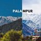 Palampur Explore The Offbeat Places And Hidden Treks-2023!