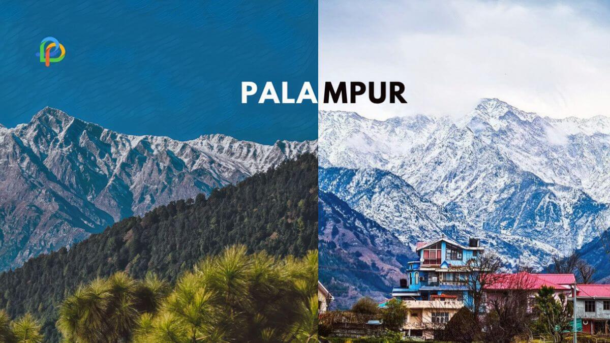 Palampur Explore The Offbeat Places And Hidden Treks-2023!