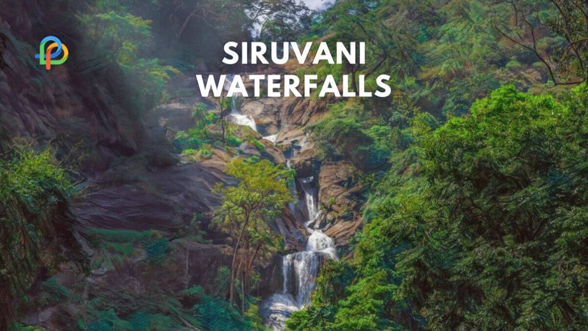 Siruvani Waterfalls, Coimbatore A Complete Travel Plan 2023