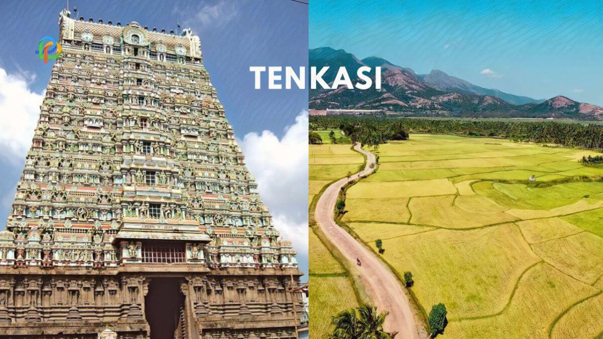 Tenkasi Explore Spiritual & Cultural Places In Tamilnadu!