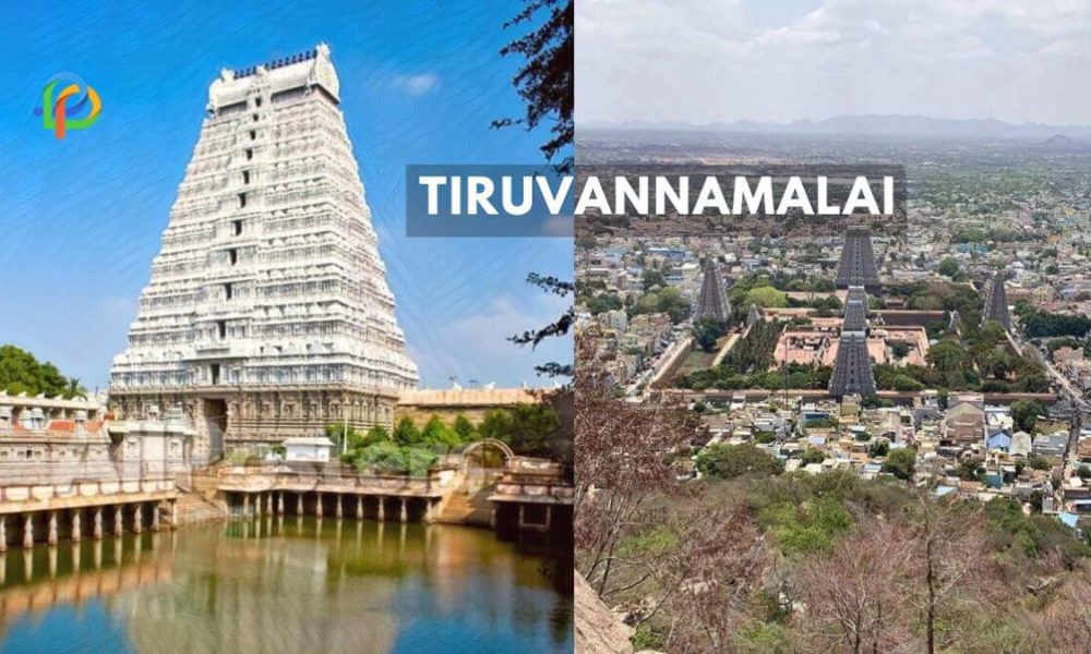 Tiruvannamalai Explore The Spiritual Hub Of Tamil Nadu!