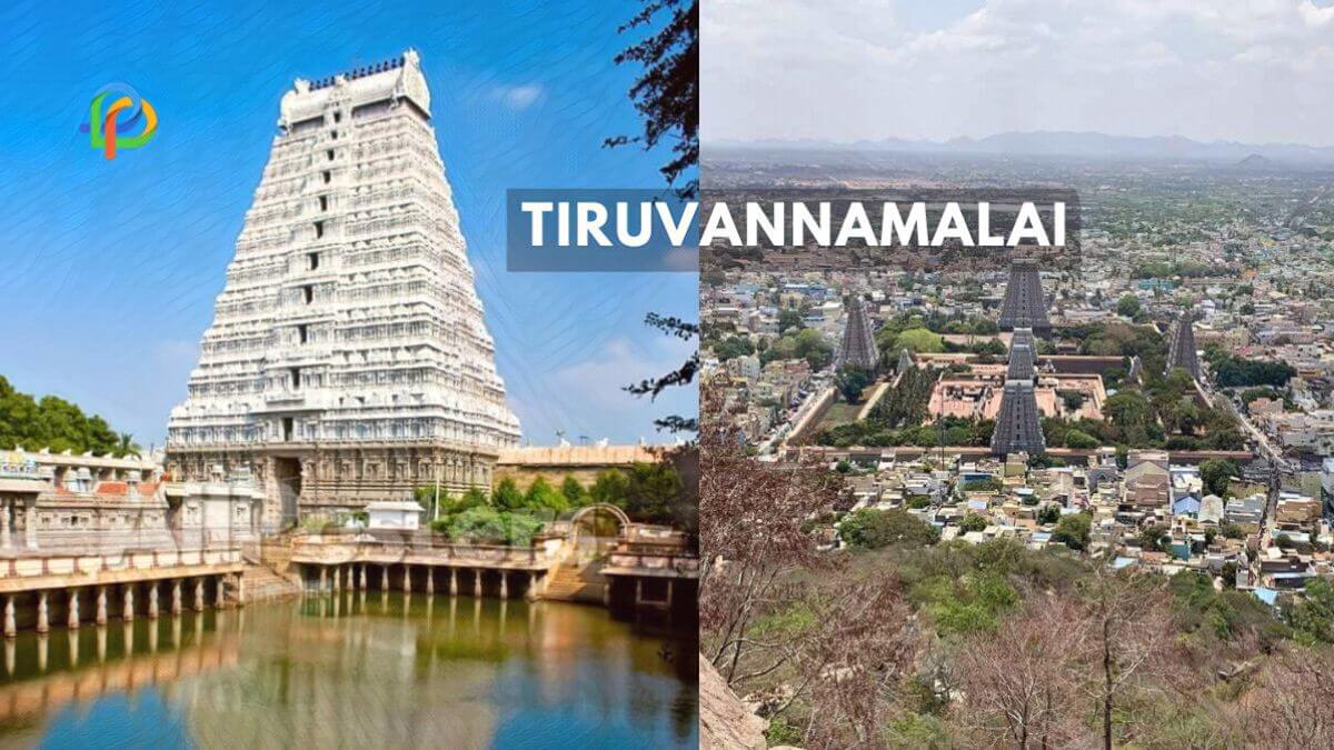 Tiruvannamalai: Explore The Spiritual Hub Of Tamil Nadu!