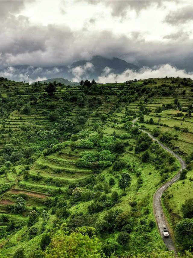 Anaikatti: Wander Around The Foothills Of The Nilgiris!