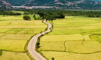 Tenkasi