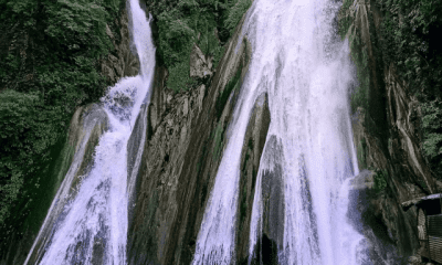 Kempty Falls Mussoorie: A Travel Guide To Milky Streams Of Uttarakhand