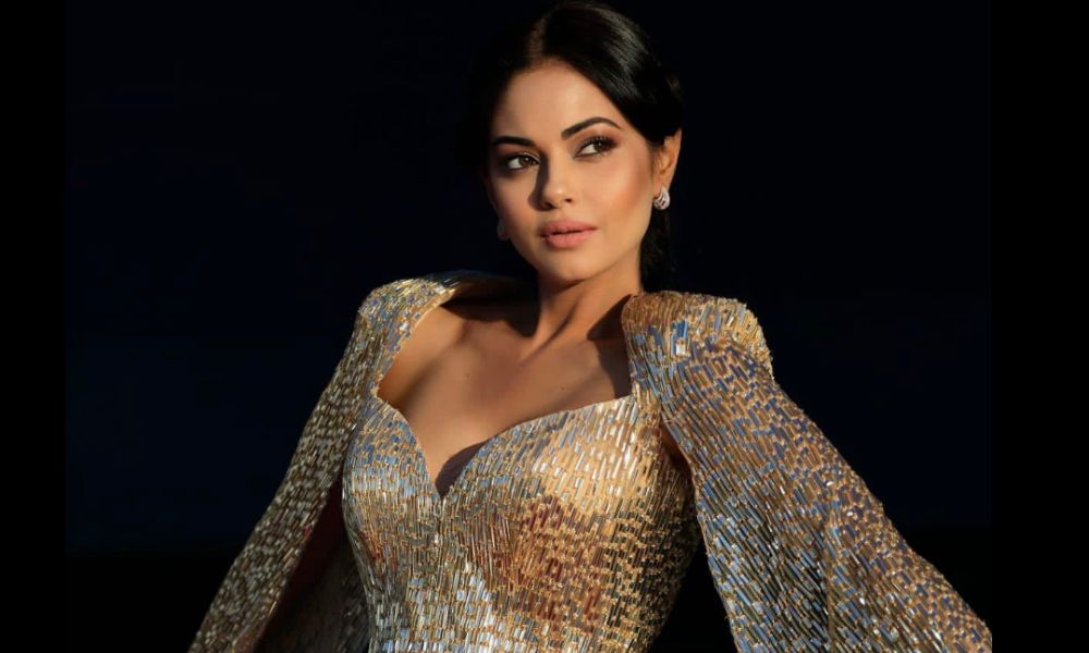 Who Is Meera Chopra? All About Indian Actress!