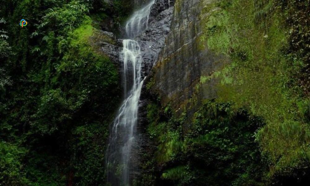 Chadwick Waterfall