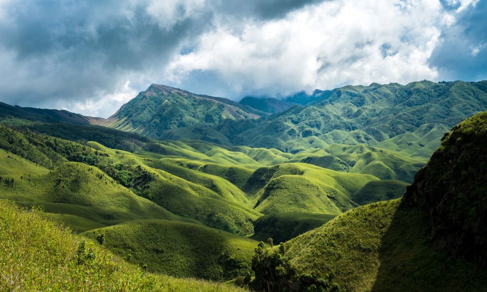 Dzukou Valley