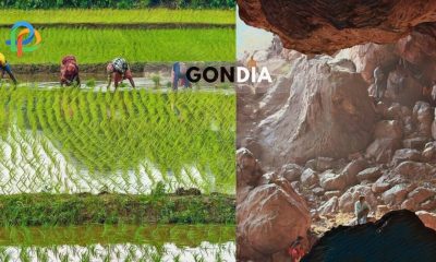 Gondia Explore The Rice City Of India!