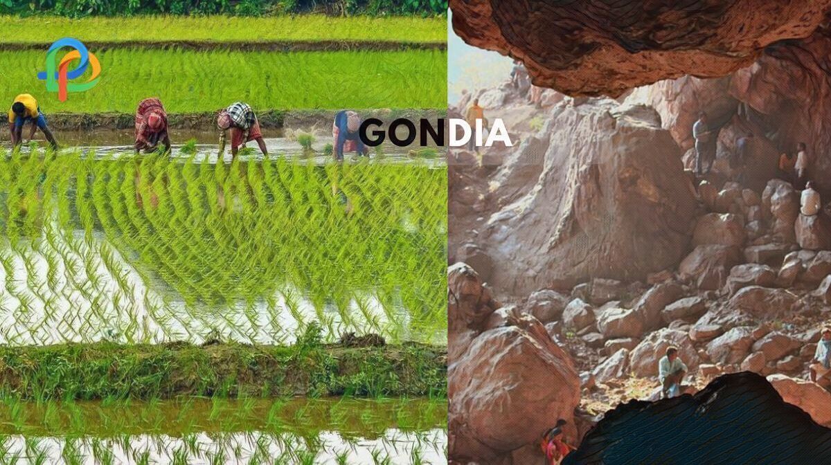 Gondia Explore The Rice City Of India!