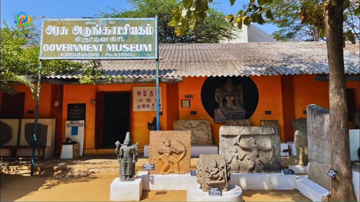 Government Museum Krishnagiri