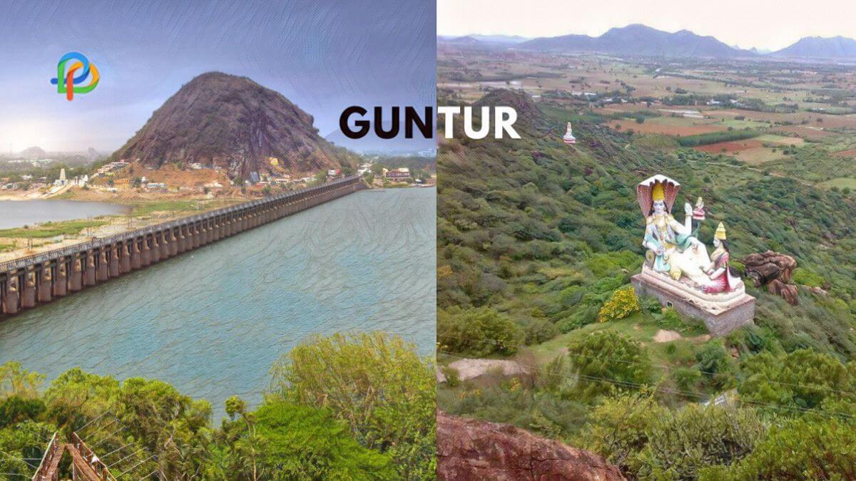Guntur Discover Asia's Number 1 Red Chilli Hub!