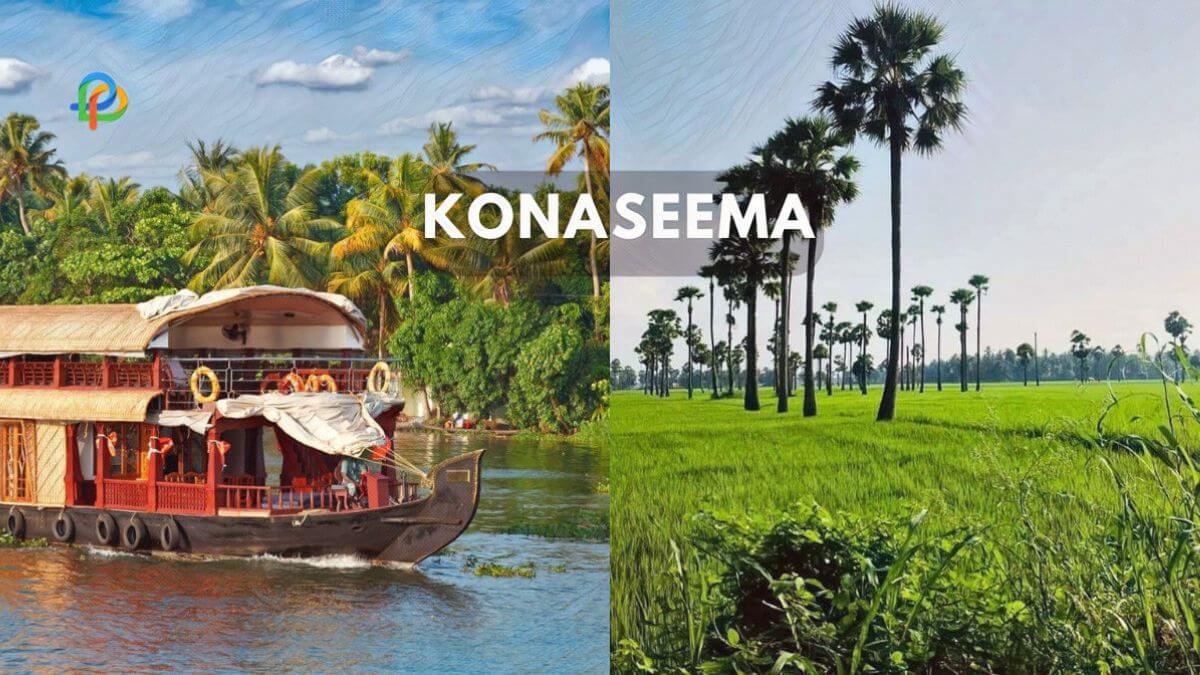 Konaseema, God's Own Creation Explore Andhra Kerala Delta!