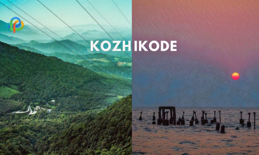 Kozhikode Explore The Coastal Paradise Of Flavors!