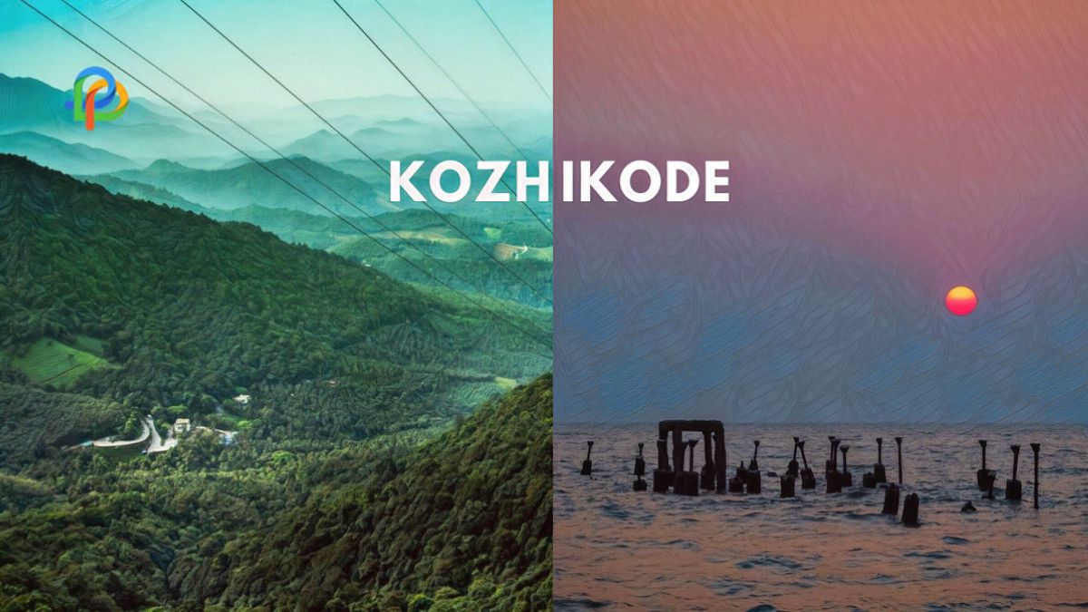 Kozhikode Explore The Coastal Paradise Of Flavors!