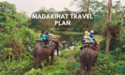 Madarihat Travel Plan Enjoy Beautiful Landscape And More!