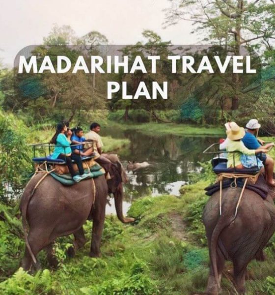 Madarihat Travel Plan Enjoy Beautiful Landscape And More!