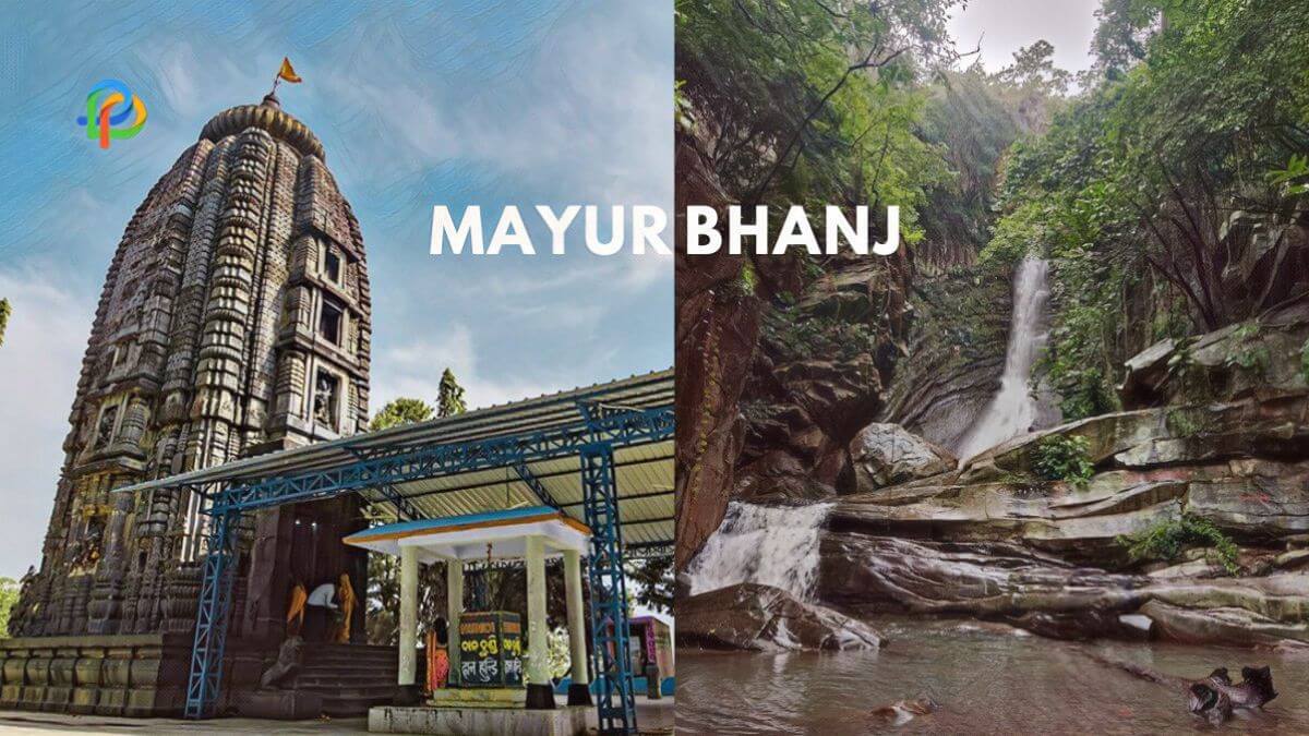 Mayurbhanj Enjoy The Panorama Of Nature`s Beauty In Odisha!