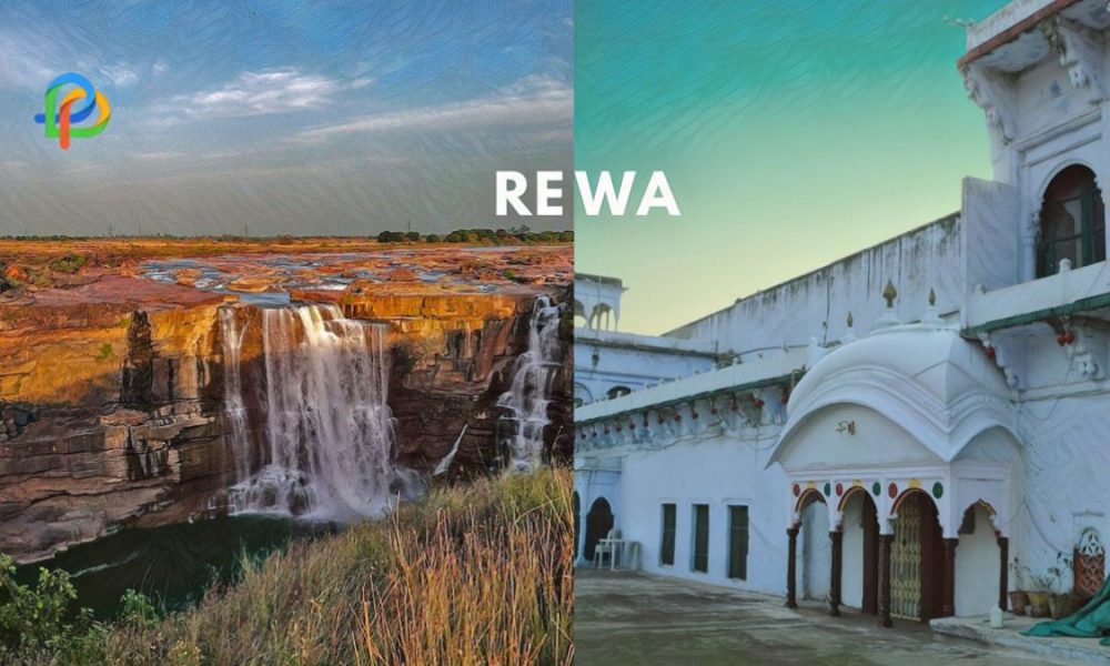 Rewa Explore The Lovely City Of Madhya Pradesh!