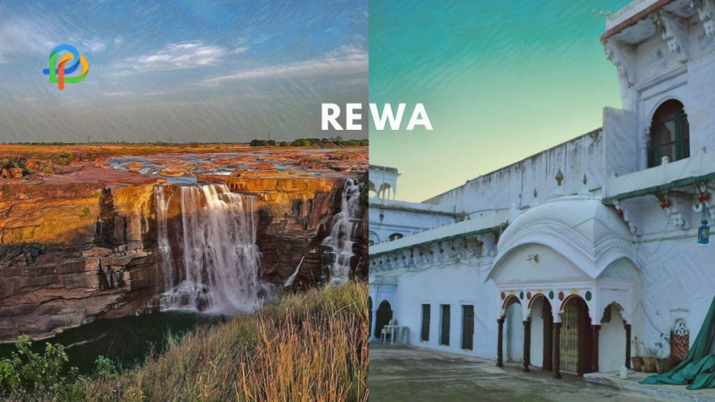 Rewa: Explore The Lovely City Of Madhya Pradesh!