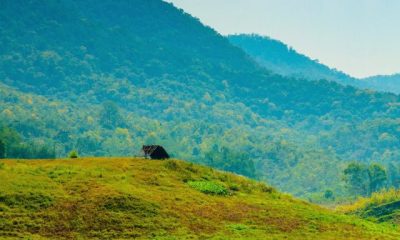 Papikondalu-tour-019