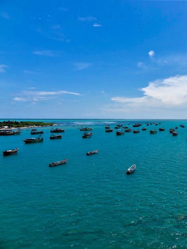 Explore Ramanathapuram Heritage Coastal City Of Tamil Nadu People explore-ramanathapuram-heritage-coastal-city-of-tamil-nadu-people