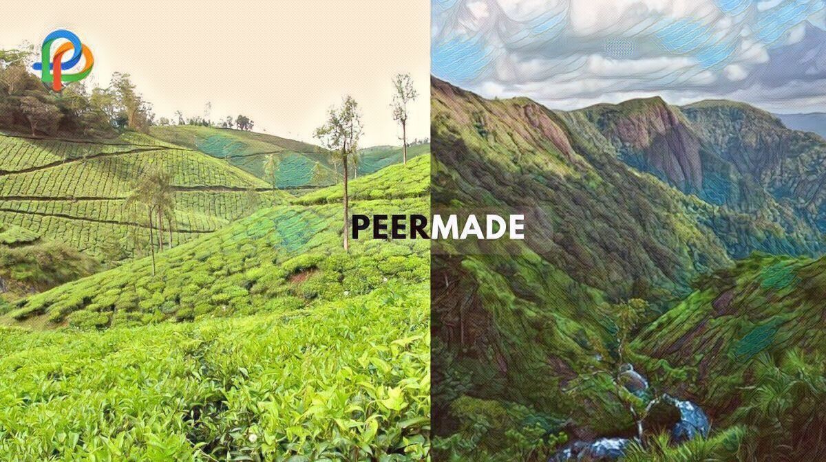 Peermade: Explore The Charming Hill Station In Kerala!