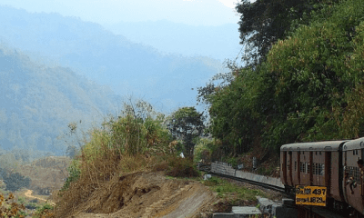 A Mysterious Village Where Birds Fall From The Sky, Jatinga!