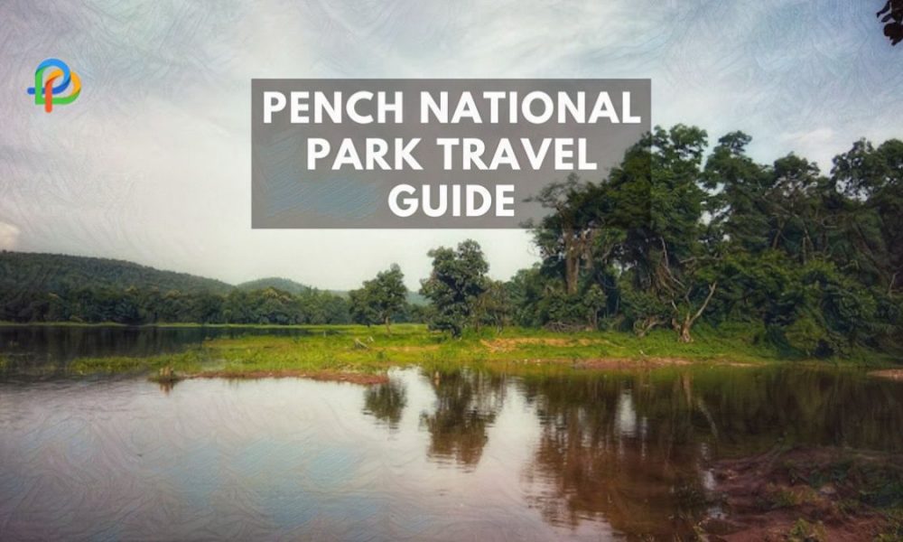 A Quick Travel Guide To Pench National Park, Madhya Pradesh