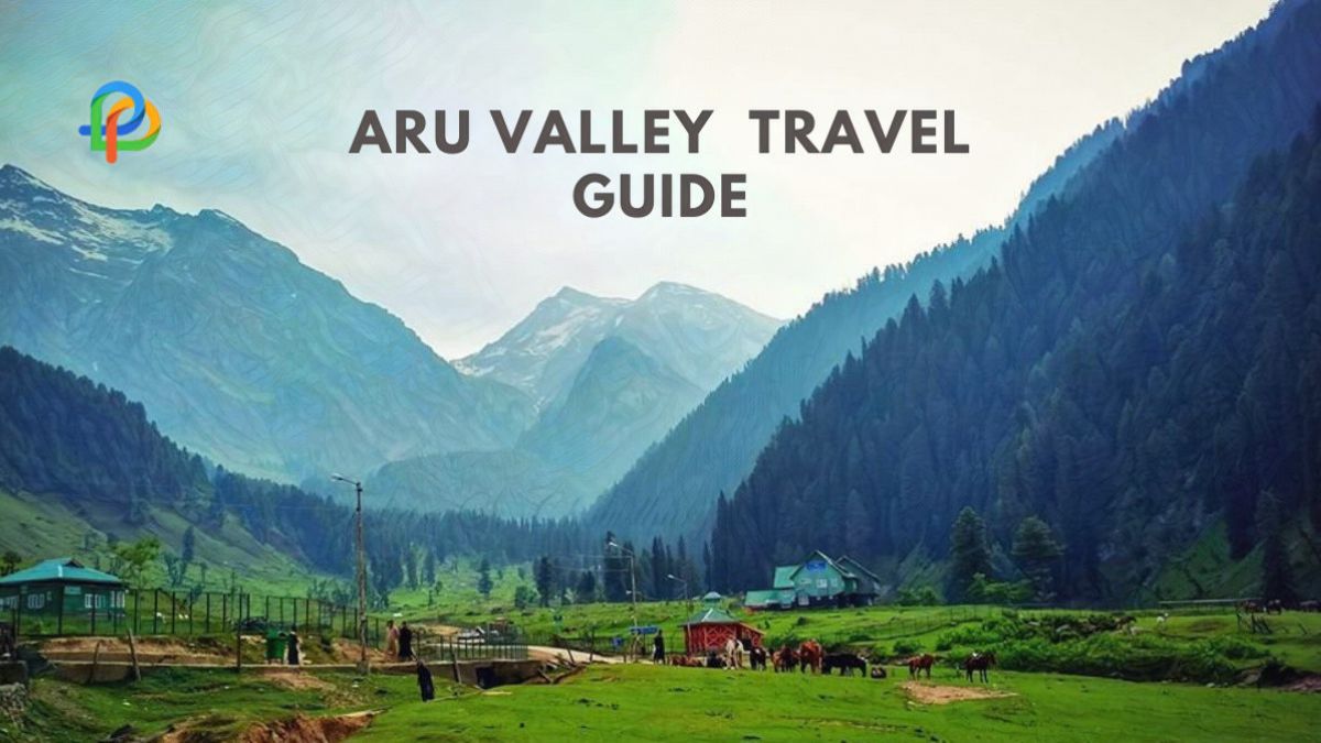 Aru Valley Travel Guide A Picturesque Escape In Kashmir!