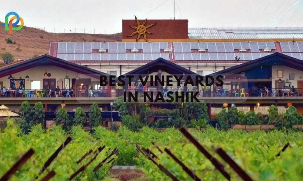 Best Vineyards In Nashik