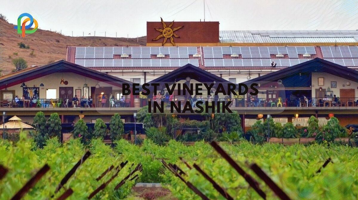 Best Vineyards In Nashik