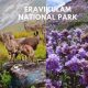 Eravikulam National Park A Diligent Travel Guide For Hikers!