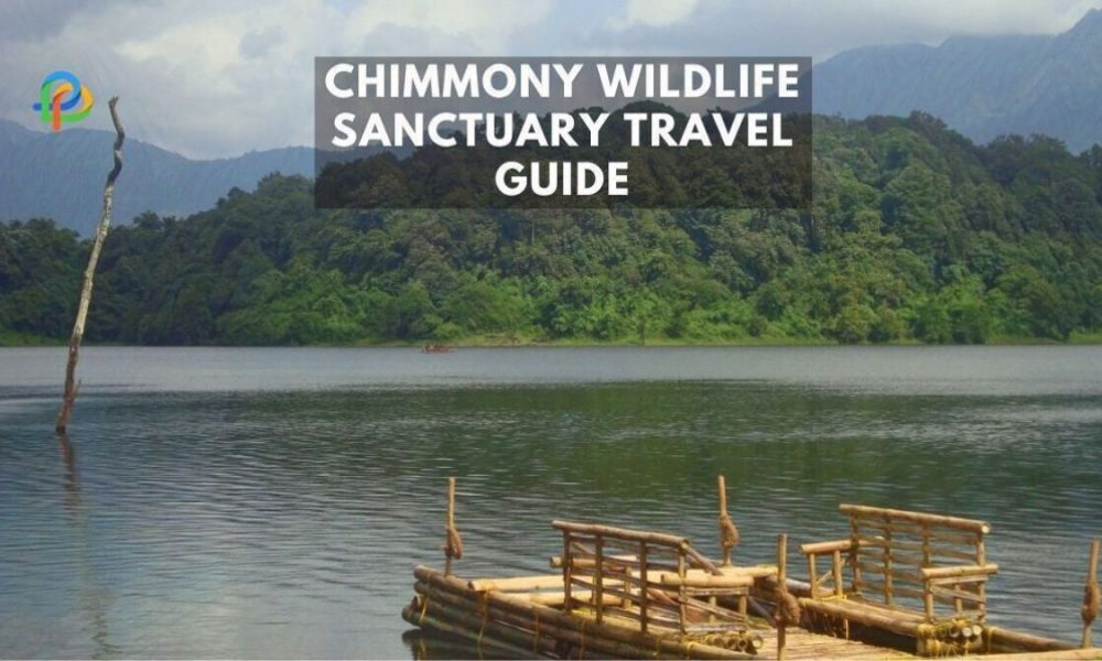Explore Chimmony Wildlife Sanctuary A Complete Travel Guide
