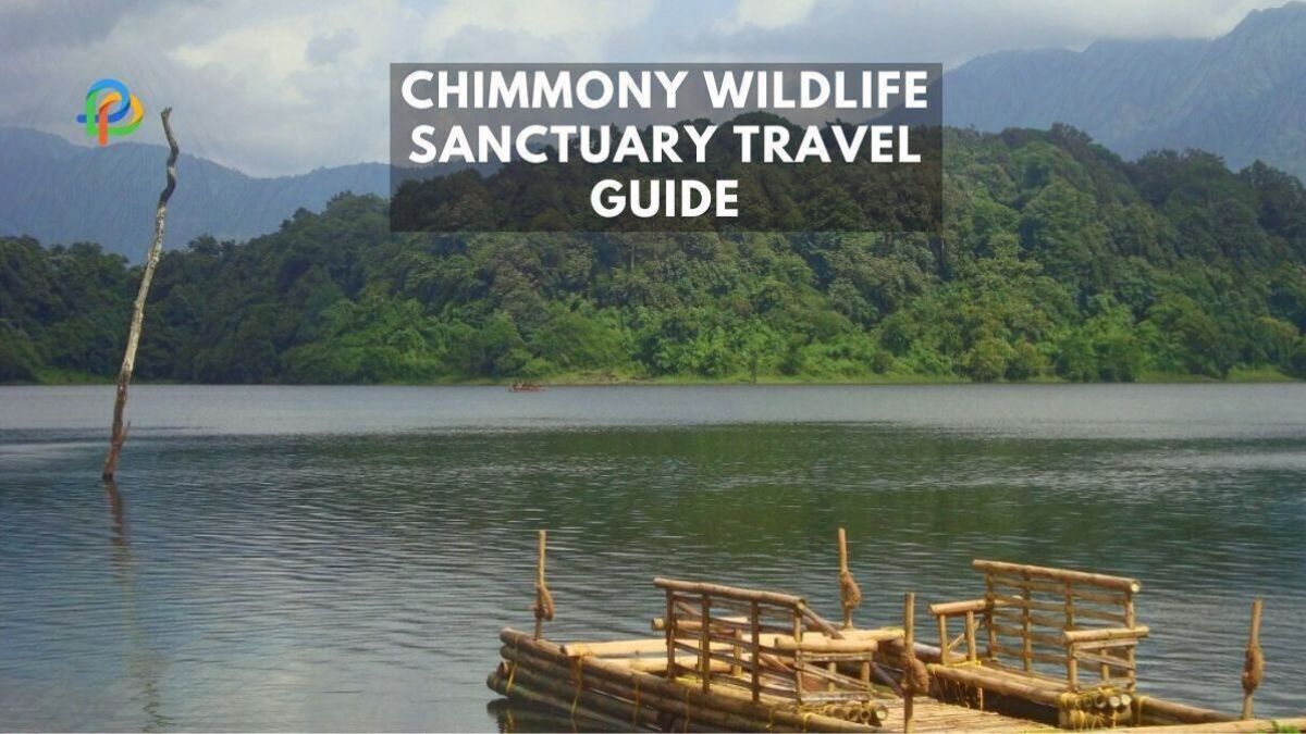 Explore Chimmony Wildlife Sanctuary A Complete Travel Guide