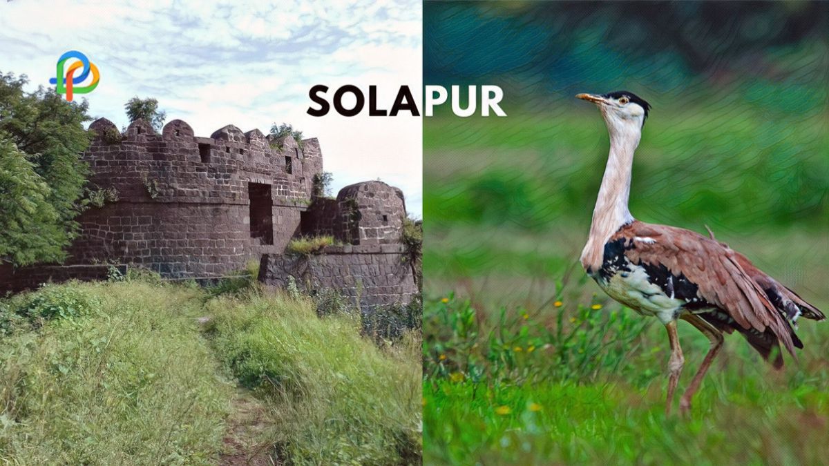 Explore Solapur A Gateway to Maharashtra's Heritage!