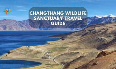 Explore Wildlife In Changthang's Cold Desert A Travel Guide