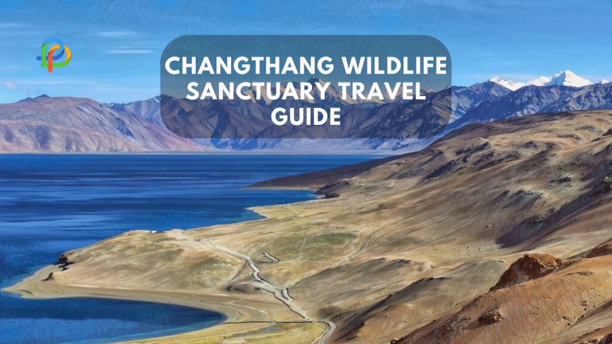 Explore Wildlife In Changthang's Cold Desert A Travel Guide